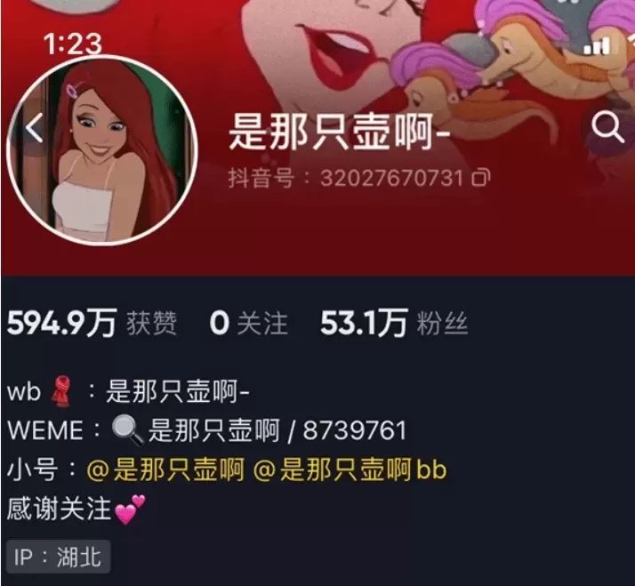 持续更新 是那只壶啊 最新微密圈作品资源合集下载-WM图库