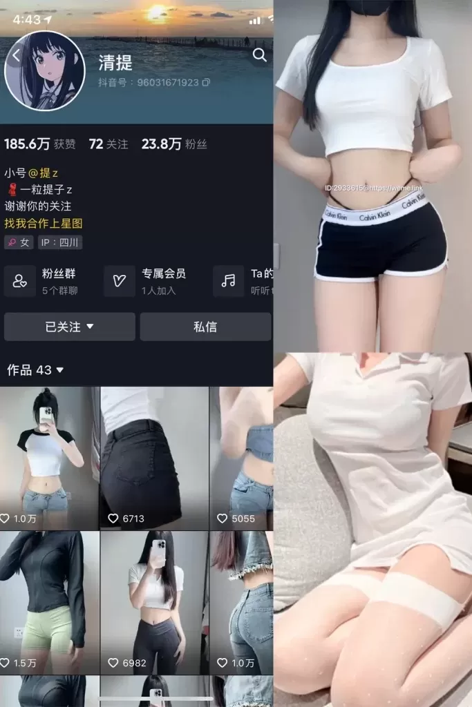 抖音 清提 微密圈合集4套-WM图库