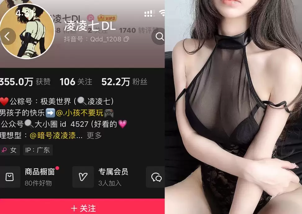 [持续更新]凌凌七DL-微密圈图片视频合集资源[NO.001-009期]-WM图库