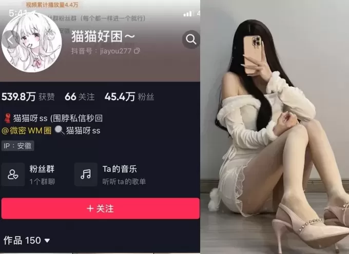 [持续更新到最新]抖音@猫猫好困-微密圈视图资源合集-WM图库