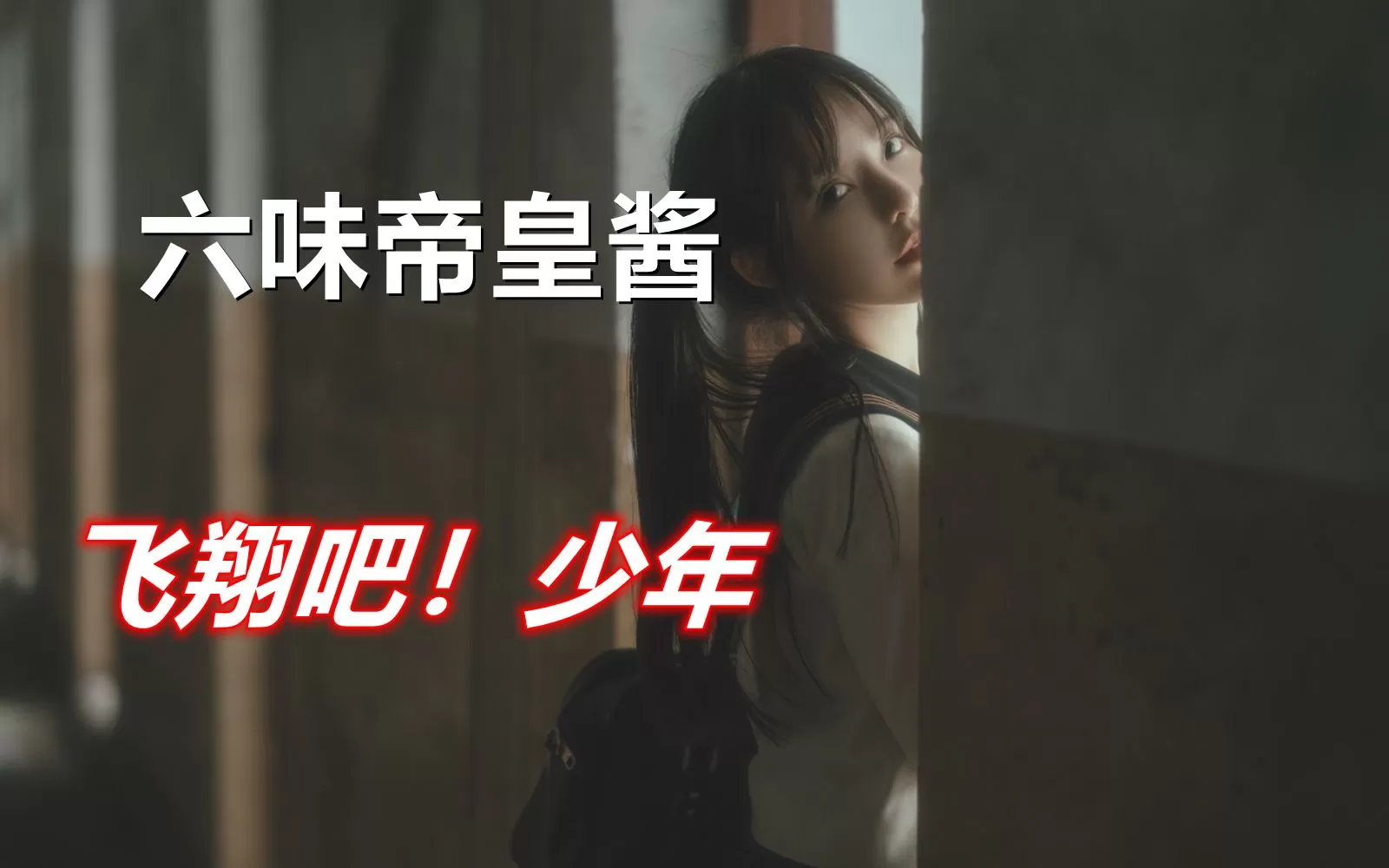 六味帝皇酱-超精美cosplay美图 cos写真合集[16套-6.4G]-WM图库