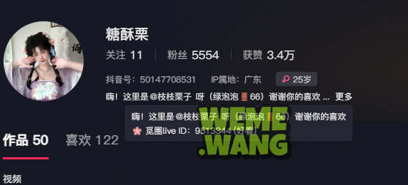 仙袂飘飘，梦回千年：颜值博主“枝枝栗子”带你领略古风之美-WM图库