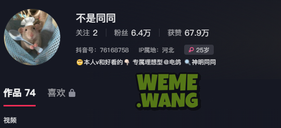 神明同同抖音世界到铁粉空间的魅力之旅-WM图库