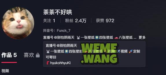 茶茶不好哄觅圈图片，颜值时尚博主，用美图俘获人心-WM图库