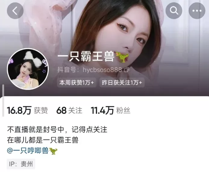 抖音网红 一只霸王兽 微密圈图片视频合集整理 土豪上帝双视角［210P 91V-18G］-WM图库